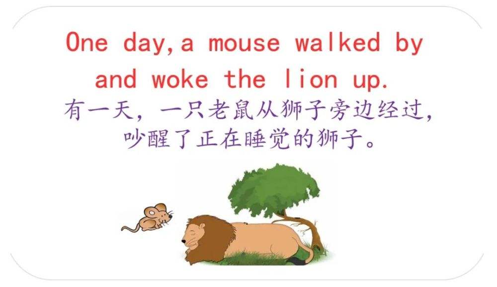 老鼠英语单词怎么写