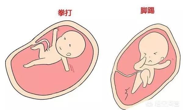 胎停前宝宝的求救信号（胎儿的求救信号）