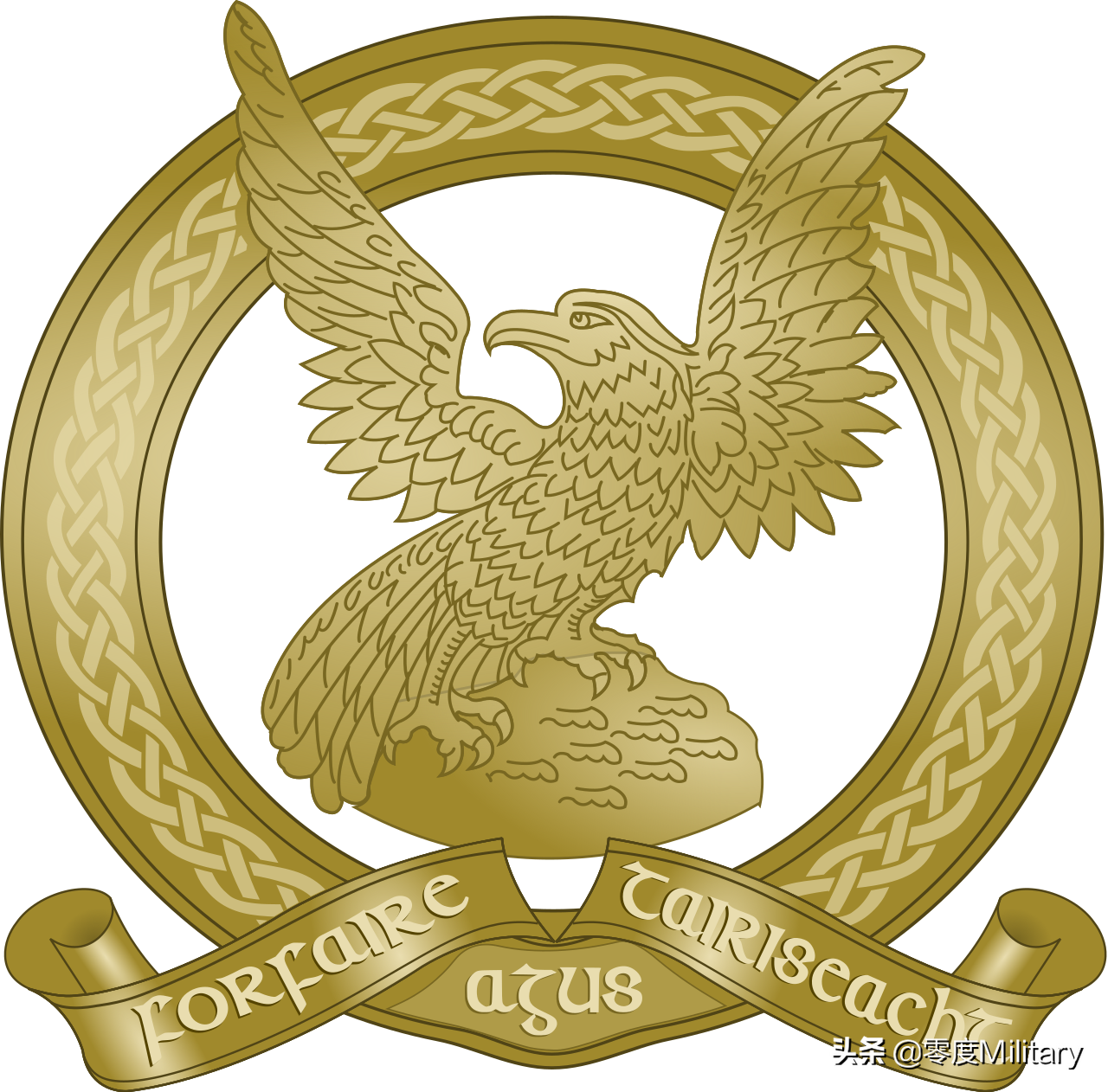 learjet（世界空军志：爱尔兰空军）