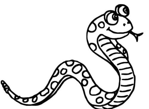 中国发现最大的蛇（长3.3米重8公斤，大理已知最大眼镜王蛇，这种蛇到底多恐怖？）
