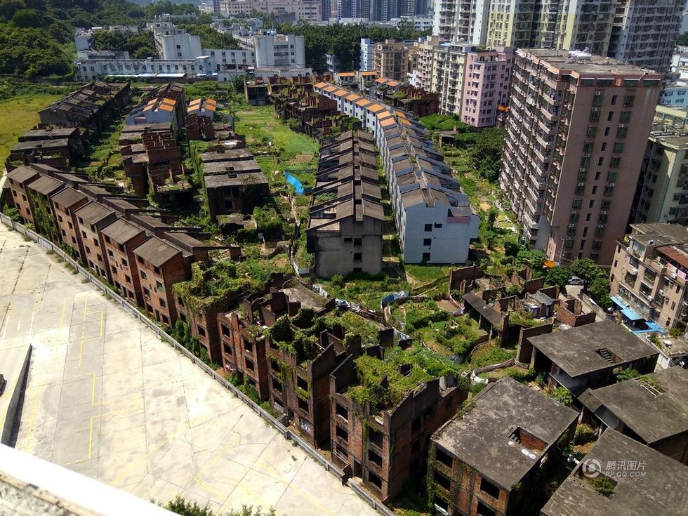 深圳最壕烂尾别墅群（价值几十亿的143栋别墅没人住，这里变成了别人的菜园地！）
