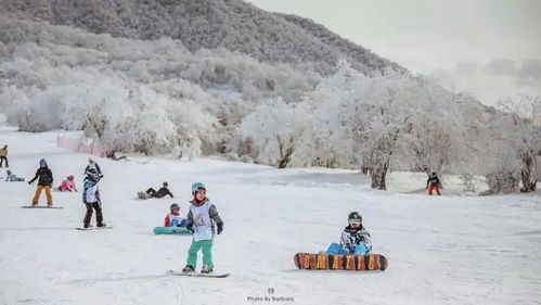 太子岭滑雪场滑雪价格多少？