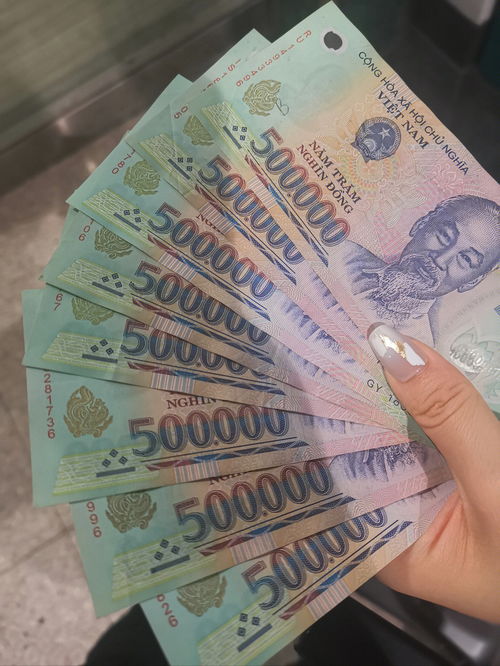 去越南5天带多少人民币越南旅游带人民币吗