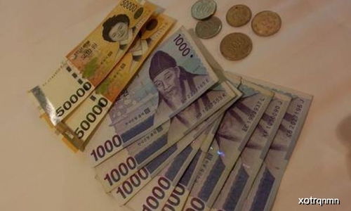 去韩国旅行一个月70万韩元也就是4000人民币够不够？