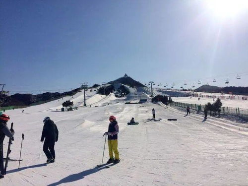 青岛滑雪场冬季几月开放门票信息？