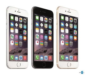 iPhone 6 Plus价格查询及评测