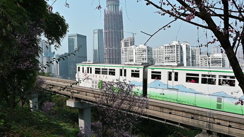夏门开往重庆的火车要经过哪些站？