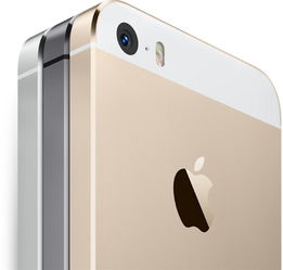 苹果6手机售价曝光，惊喜价引关注