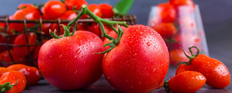 粉柿子和西红柿区别（粉柿子和西红柿有哪些区别）