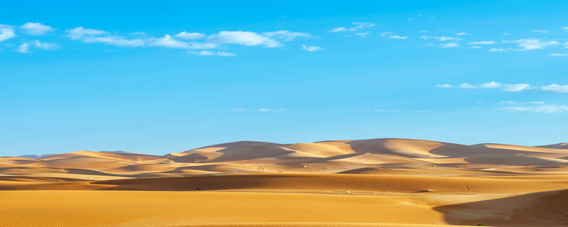 世界上面积最大的沙漠是哪个（沙漠的气候如何）