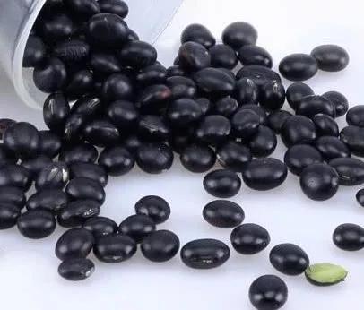 黑豆怎么吃最好（补药一堆，不如黑豆一把，黑豆的4种吃法（收藏篇））