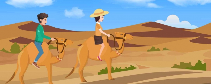 骆驼为什么被称为沙漠之洲（骆驼被称为沙漠之洲的原因）