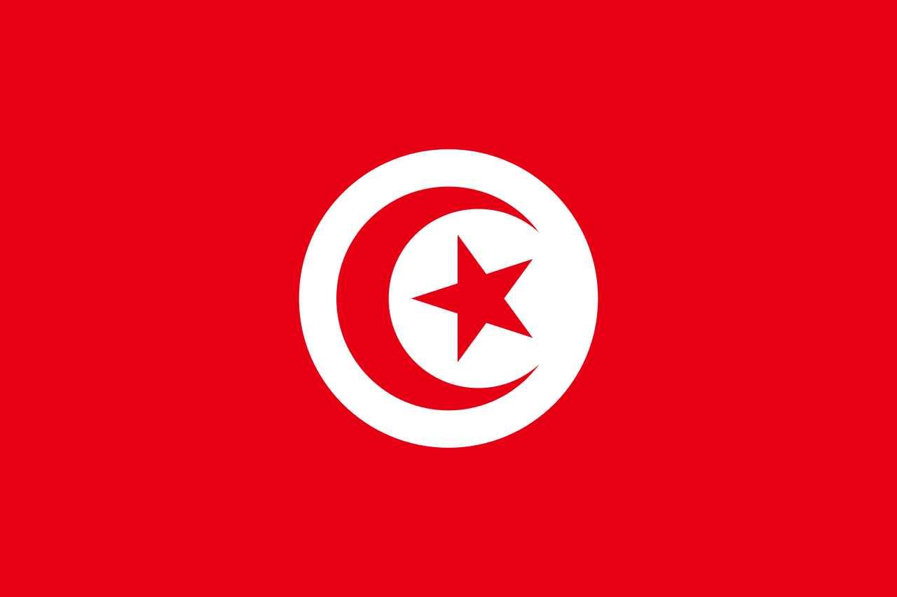 突尼斯在哪里（50、非洲各国简史之突尼斯）