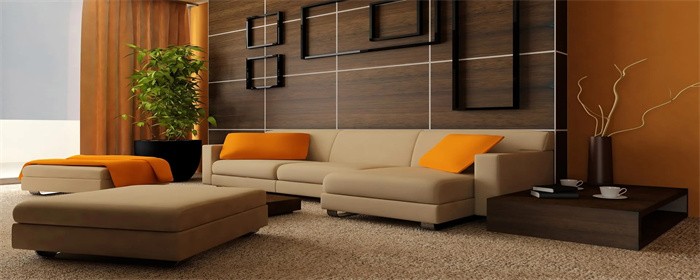 皮沙发和科技布沙发哪个更实用（选购沙发的注意事项有哪些）