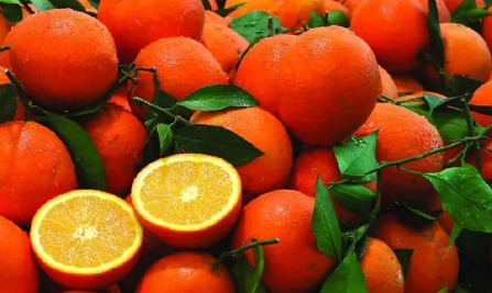 脐橙很甜有人为原因吗（正宗的赣南脐橙是什么味道）