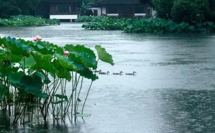 2023年浙江几月份是梅雨季节（梅雨季节如何防霉除湿）