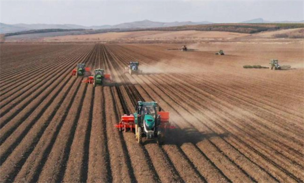 最新农情：全国已春播粮食面积超1.4亿亩