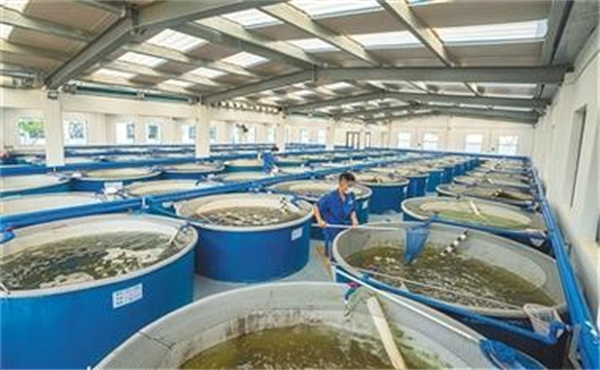 渤海水产2022年净利润同比增长近三成（南美白对虾产量增加）