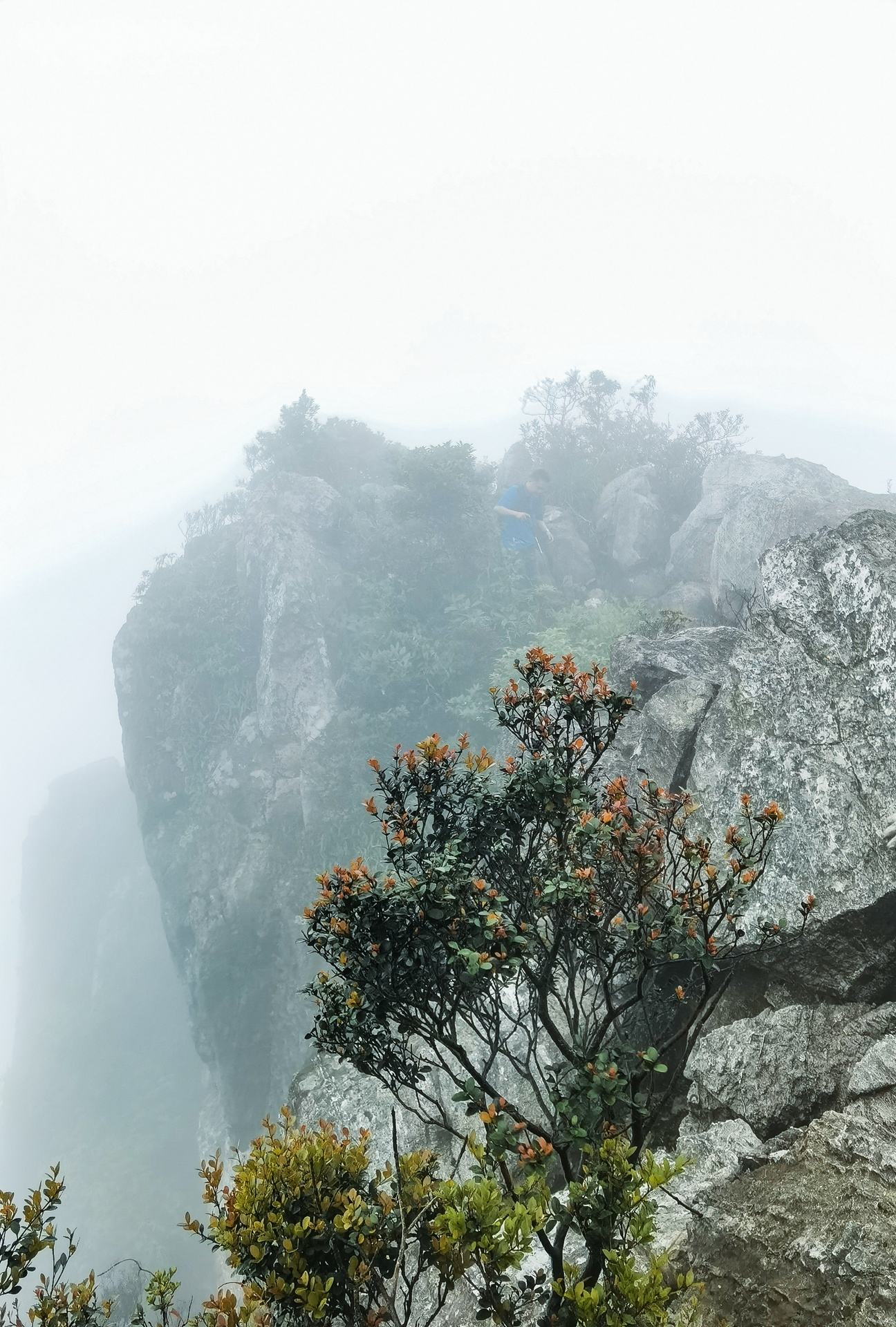 危峰兀立的意思