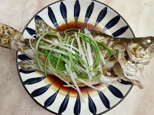 广式桂鱼图片