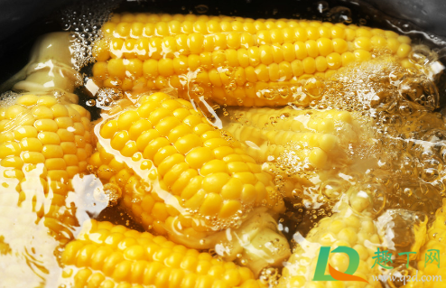 煮玉米冷水下锅还是热水？煮玉米需要多长时间？