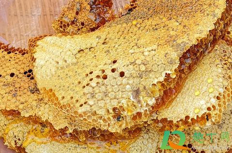 老巢蜂蜜好还是新蜂蜜好？老巢蜂蜜为什么是黑的？