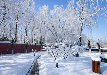 北京12月会不会下雪（中国哪里下雪了2021年12月）
