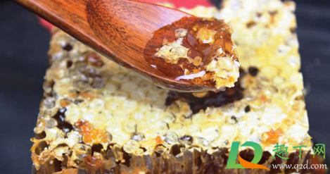老巢蜂蜜怎么吃效果最好？老巢蜂蜜今年多少钱一斤？