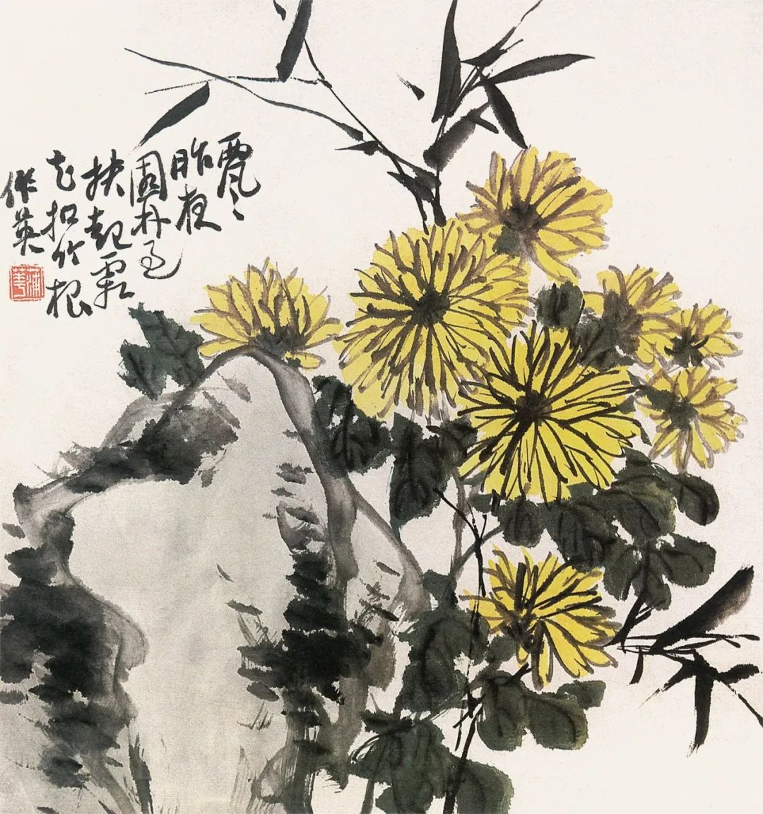 菊花的样子(寒菊画菊的意思)