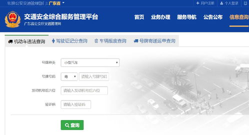 广州交通违章查询系统：全面掌握违章信息，便捷高效查询