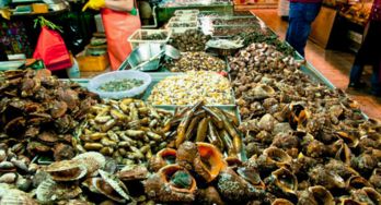 青岛海鲜市场在哪青岛海鲜市场哪家好？