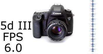 佳能5D3：全新相机即将上市
