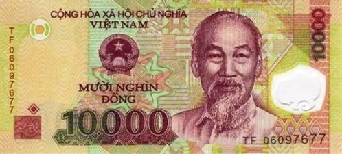 谁知道柬埔寨通用的货币是什么？_1