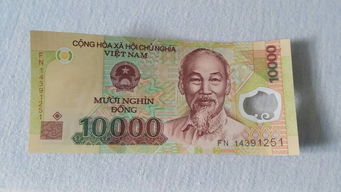 谁知道柬埔寨通用的货币是什么？