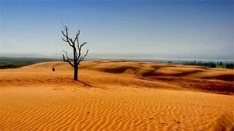 中国沙漠景区排名