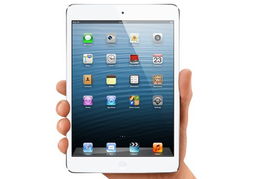 iPad vs Mini：哪款更实用？