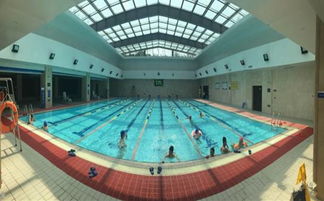 武汉洪山区这块哪有游泳馆啊