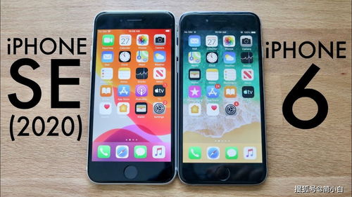 苹果10手机最新价格揭晓，惊喜不容错过