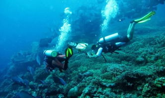 斯米兰岛潜水多少钱