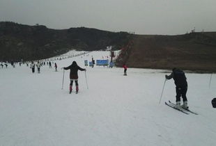 天津滑雪场有哪些地方