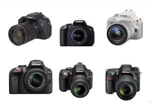 摄影初学者如何选择适合的单反相机