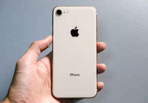 iPhone 8 Plus：强大功能与出色性能的完美结合