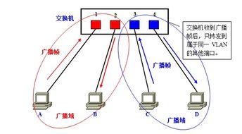 交换机与路由器的接连方式及原理